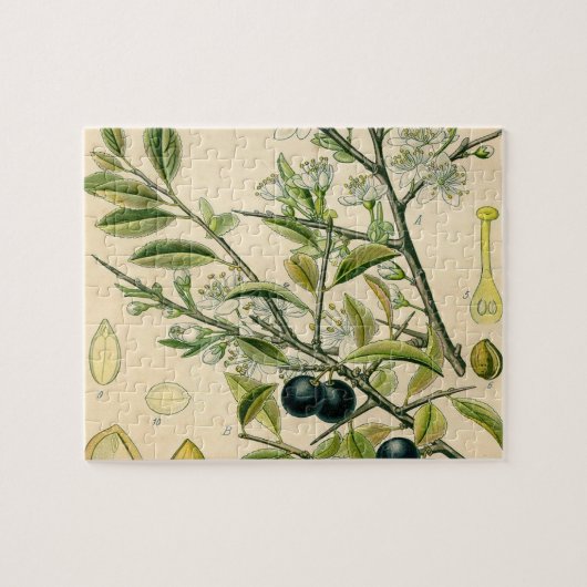 Puzzle Antique Blackthorn Botanique Imprimé Fleur Berry (Horizontal)