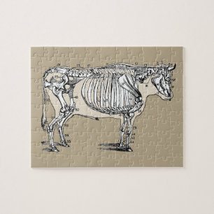 Puzzle Antique Cow Skeleton Bones
