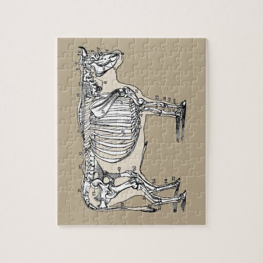 Puzzle Antique Cow Skeleton Bones (Vertical)