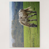 Puzzle Appaloosa Cheval pâturant dans un champ (Vertical)
