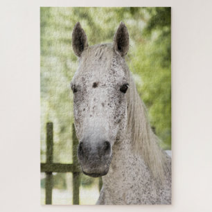 Puzzle Appaloosa Horse