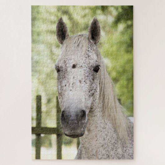 Puzzle Appaloosa Horse (Vertical)
