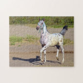 Puzzle Appaloosa Horse Foal Running (Horizontal)