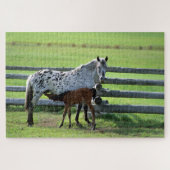 Puzzle Appaloosa Mare and Colt Horse (Horizontal)