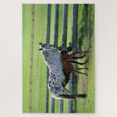 Puzzle Appaloosa Mare and Colt Horse (Vertical)