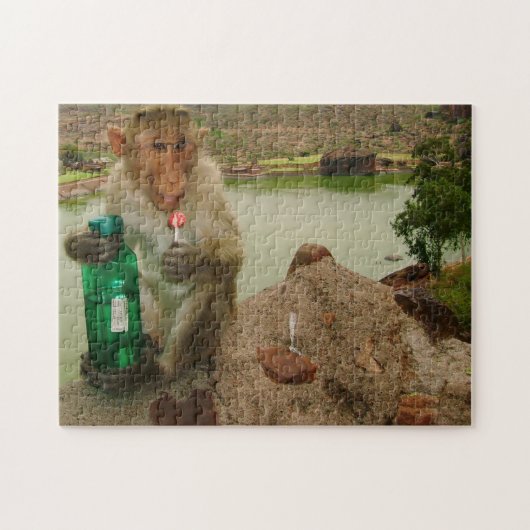 Puzzle Appel photo-Singe Badami Inde (Horizontal)
