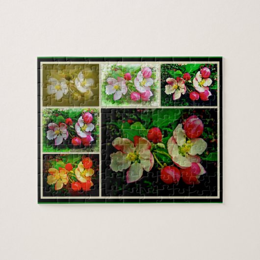 Puzzle Apple Blossom Collage - Photo numérique améliorée (Horizontal)
