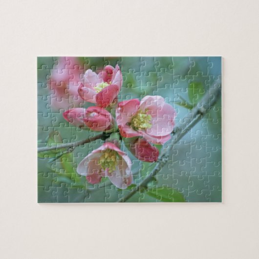 Puzzle Apple Blossom #P0356 (Horizontal)
