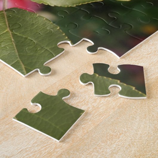 Puzzle Apple Orchards Vermont. (Côté)