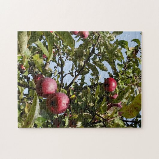 Puzzle Apples on Apple Tree (Horizontal)