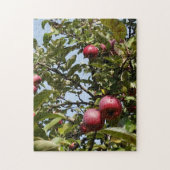 Puzzle Apples on Apple Tree (Vertical)
