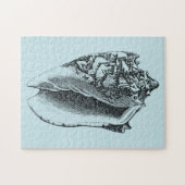 Puzzle Aqua Conch Shell (Horizontal)