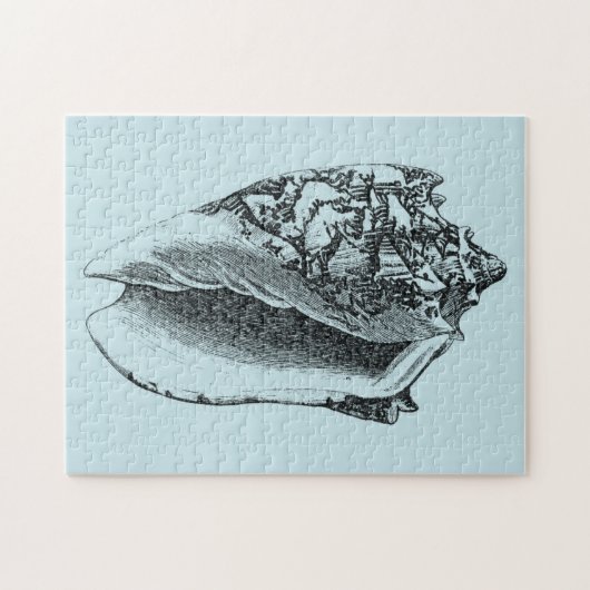 Puzzle Aqua Conch Shell (Horizontal)