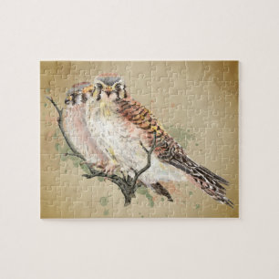 Puzzle Aquarelle Kestrel Falcon Faune Oiseau Art