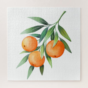 Puzzle Aquarelle Orange Fruits : Branches Isolées.
