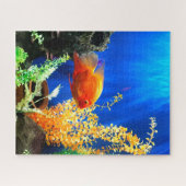 Puzzle Aquarium aquarium aquarium (Horizontal)