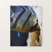 Puzzle Aquarium d'eau douce pour poissons-anges (Vertical)