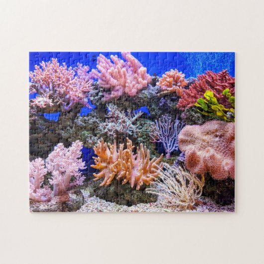 Puzzle Aquarium d'eau salée - Coral Reef (Horizontal)