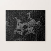Puzzle Aquarius Zodiac Constellation Hevelius 1690 (Horizontal)
