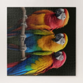 Puzzle Ara (Horizontal)