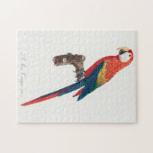 Puzzle Ara Canga Parrot (Horizontal)