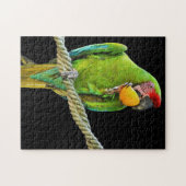 Puzzle Ara Militaris Perroquet Vert (Horizontal)