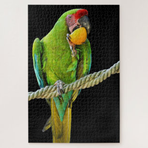 Puzzle Ara Militaris Perroquet Vert