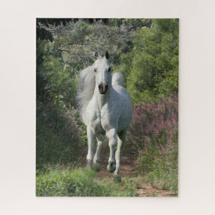 Puzzle Arabe Gris Courant Sur Le Chemin Avec Fleurs