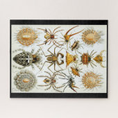Puzzle Arachnides par Ernest Haeckel illustration vintage (Horizontal)