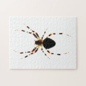 Puzzle Araignée 11x14 jpcn 252pc (Horizontal)