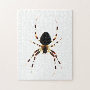 Puzzle Araignée 11x14 jpcn 252pc