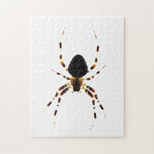 Puzzle Araignée 11x14 jpcn 252pc (Vertical)