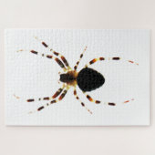 Puzzle Araignée 20x30 1014pc jpm (Horizontal)