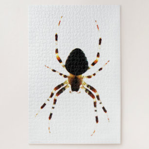 Puzzle Araignée 20x30 1014pc jpm