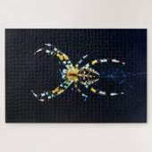 Puzzle Araignée de jardin européenne 20x30 1014pc jpcnm (Horizontal)