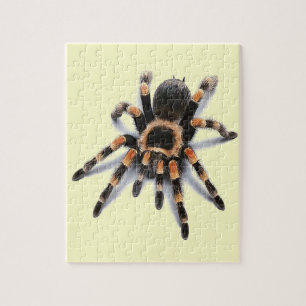 PUZZLE ARAIGNÉE DE TARENTULE