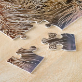 Puzzle Araignée sautante (Côté)