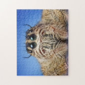 Puzzle Araignée sautante (Vertical)