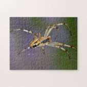 Puzzle Araignée sur sa toile (Horizontal)