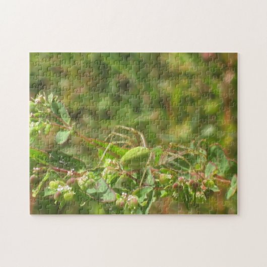 Puzzle Araignée verte Lynx (Horizontal)