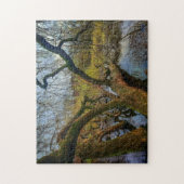 Puzzle "Árboles del agua - Parque en Ámsterdam" (Vertical)