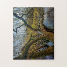 Puzzle "Árboles del agua - Parque en Ámsterdam"