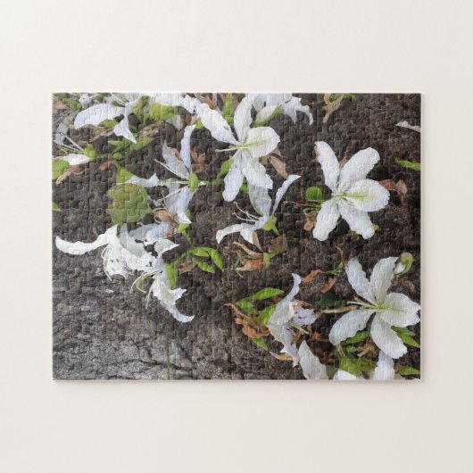 Puzzle Arbre (Horizontal)