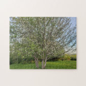 Puzzle arbre à fleurs de pomme double (Horizontal)