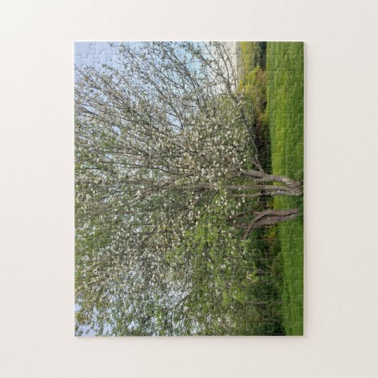 Puzzle arbre à fleurs de pomme double (Vertical)