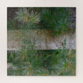 Puzzle Arbre à pins unique (Horizontal)