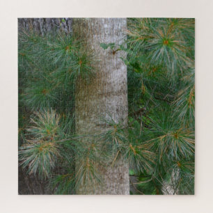 Puzzle Arbre à pins unique