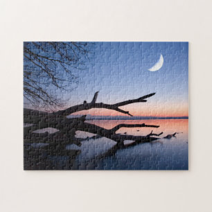 Puzzle Arbre au lac de Starnberg Muensing Bavière Allem
