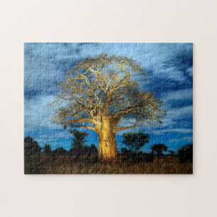 Puzzle Arbre Baobab (Adansonia) Éclairé Par La Lune
