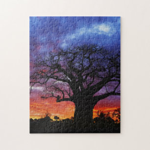 Puzzle arbre baobab africain, Adansonia digitata 2